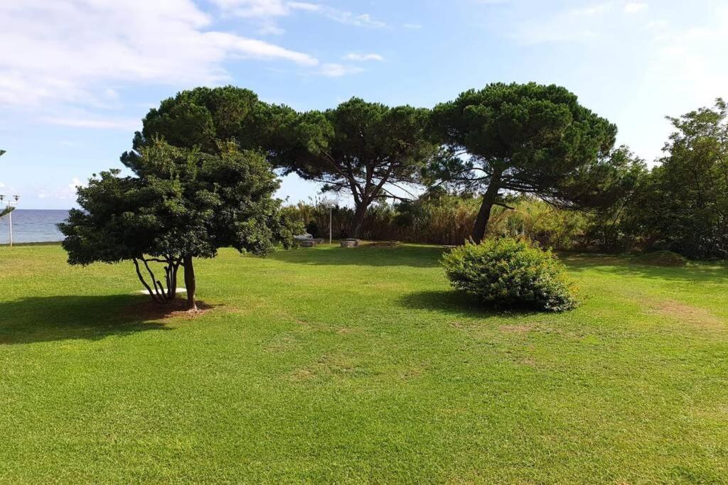 Studio bord de mer - Piscine - Plage San-Nicolao Buitenkant foto